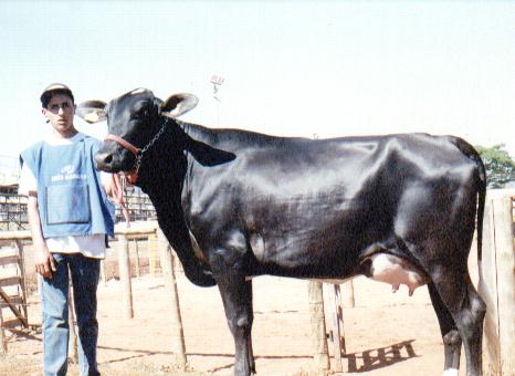 �NDIA CUBBY DO MORRO