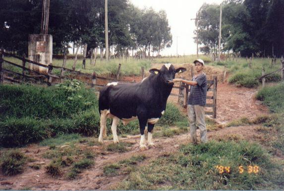HERDEIRO FANCY PAUL DO MORRO