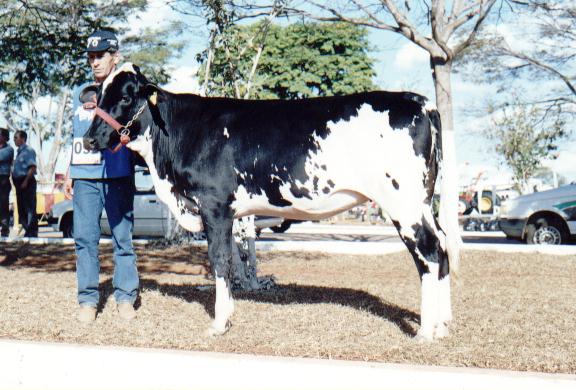 JORNADA WILL DO MORRO